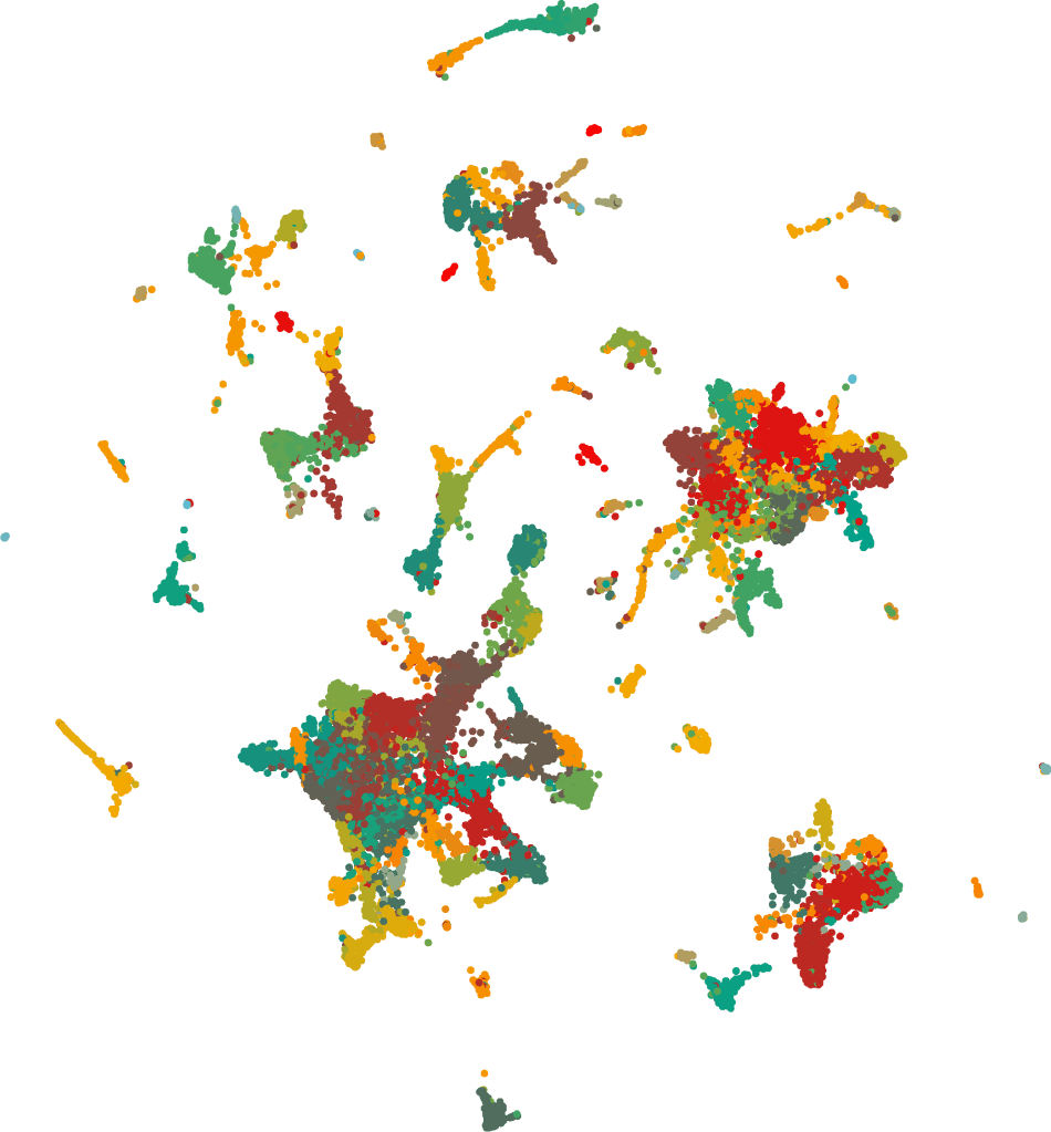 A cluster plot of color-coded data points forming multiple distinct groupings, representing single-cell classification of immune and infection data in zebrafish.
