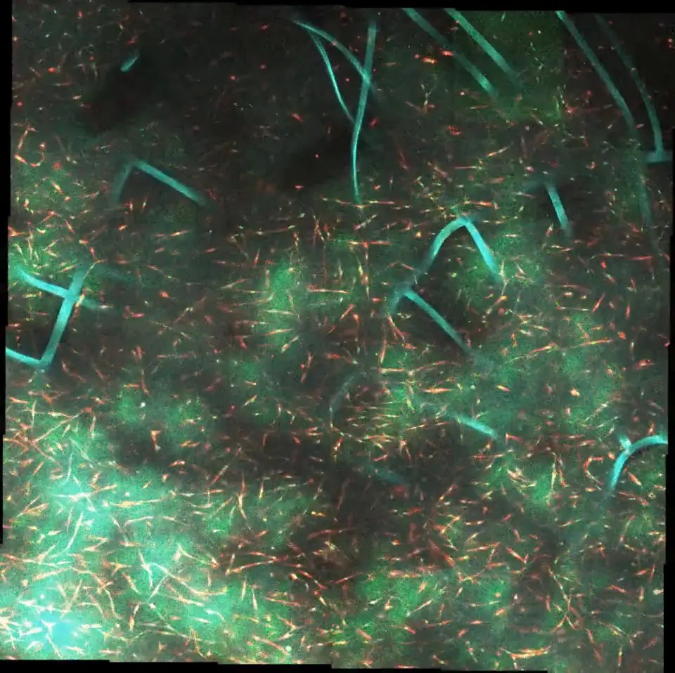 Contact Us Hero Image