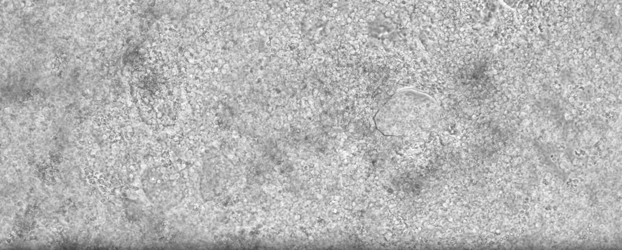 Contact Us Hero Image