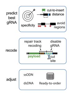 protoSpaceJAM diagram