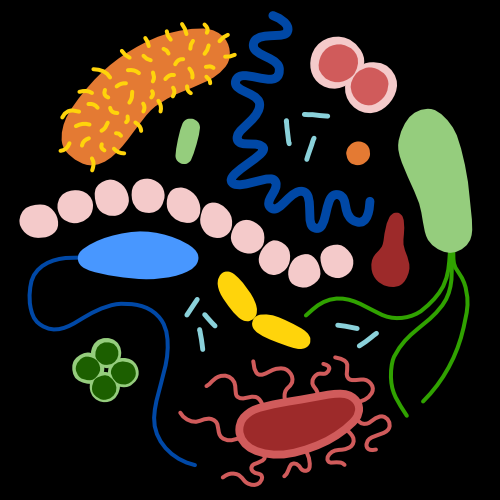 Illustration of synthetic gut microbiota used in microbiome research