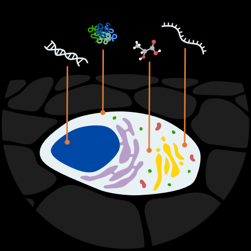Illustration of the single-cell multi-omics research workflow