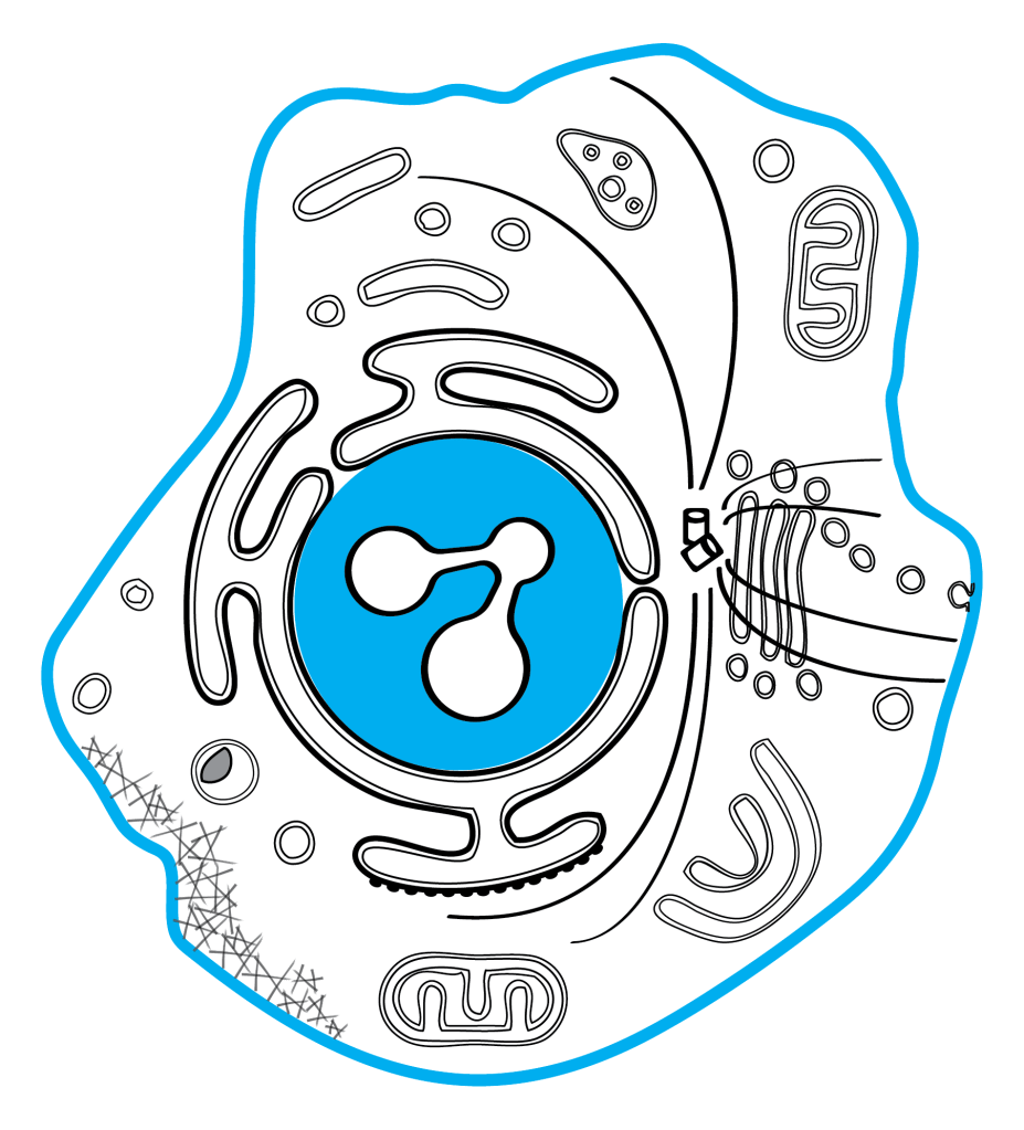 OpenCell logo for the proteome-scale platform mapping human protein localization and interactions.
