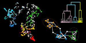 Cluster plot, network diagram, and branching tree illustrating machine learning analysis of protein data.
