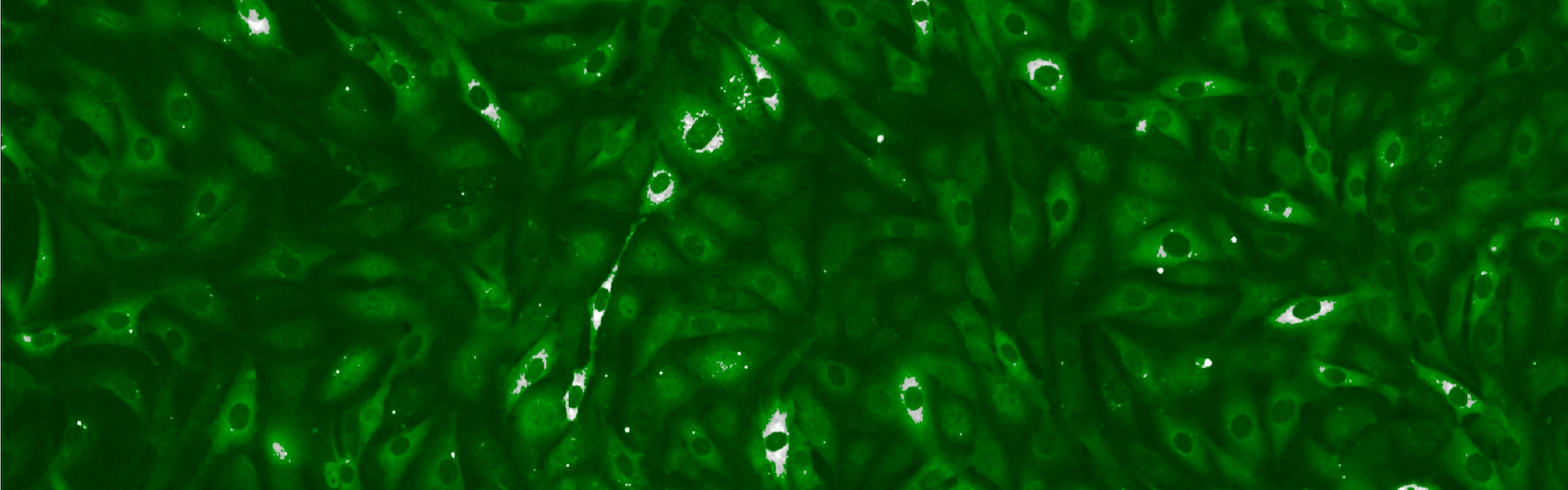 Contact Us Hero Image