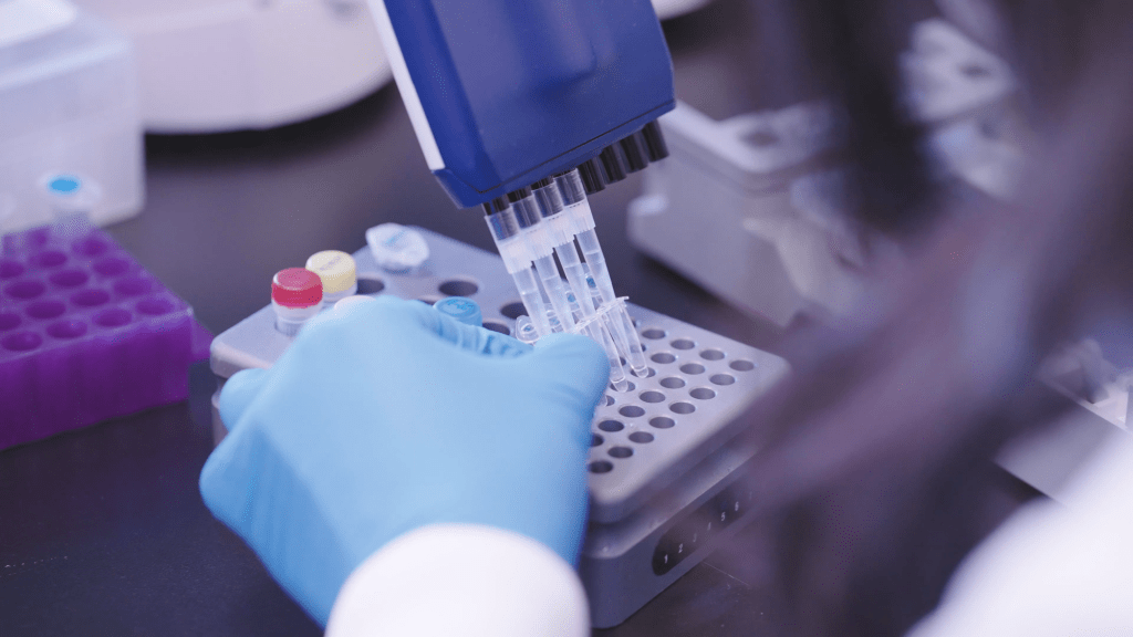 A gloved researcher using a multi-channel pipette to transfer samples into a tube rack as part of protein science lab work.
