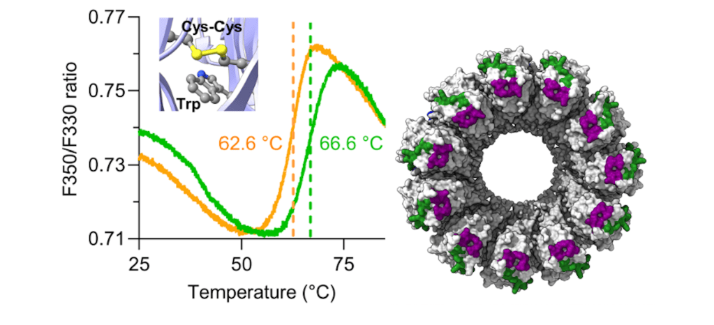 Overview of biochemical and biophysical techniques used to characterize proteins
