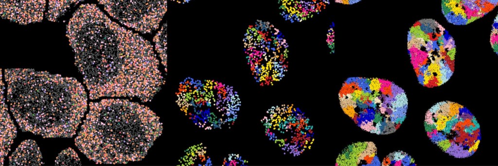 Imaging-based multi-omics showing mature and nascent RNAs and chromosome structures in mouse embryonic stem cells