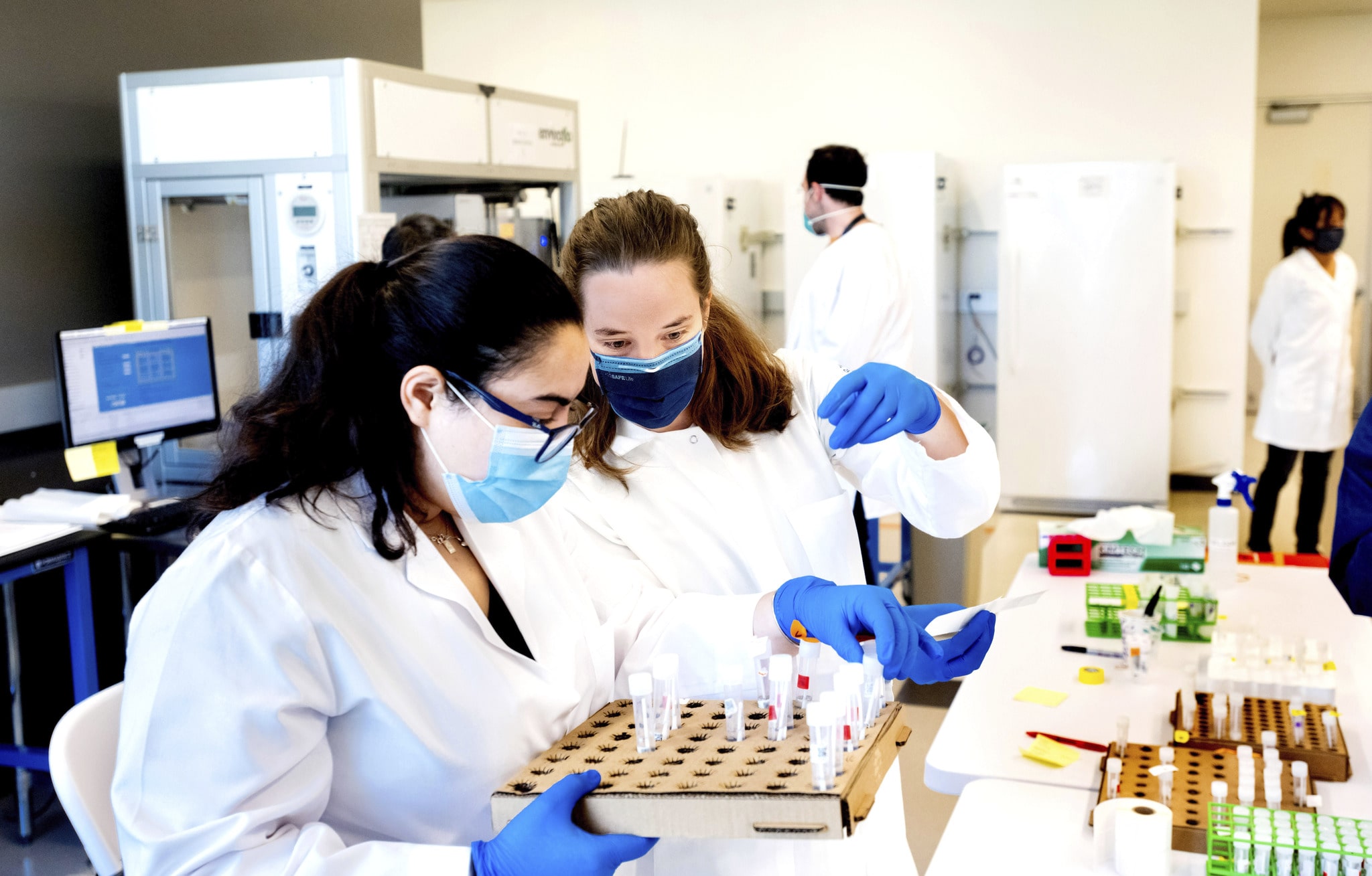 Two scientists wearing gloves and masks place small vials containing COVID-19 test samples into rows.