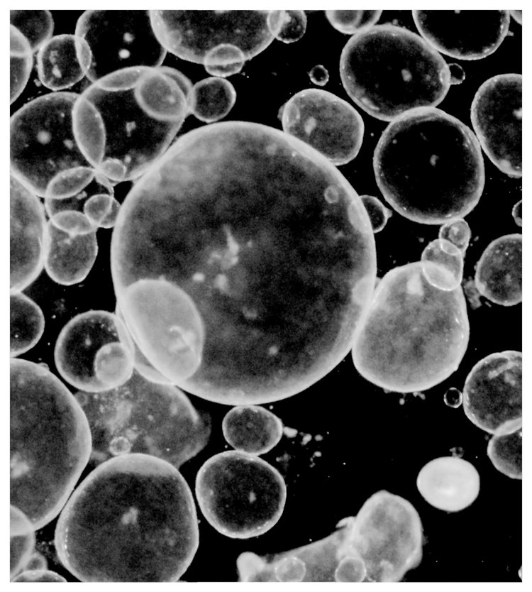 White bubble-like shapes on a black background.