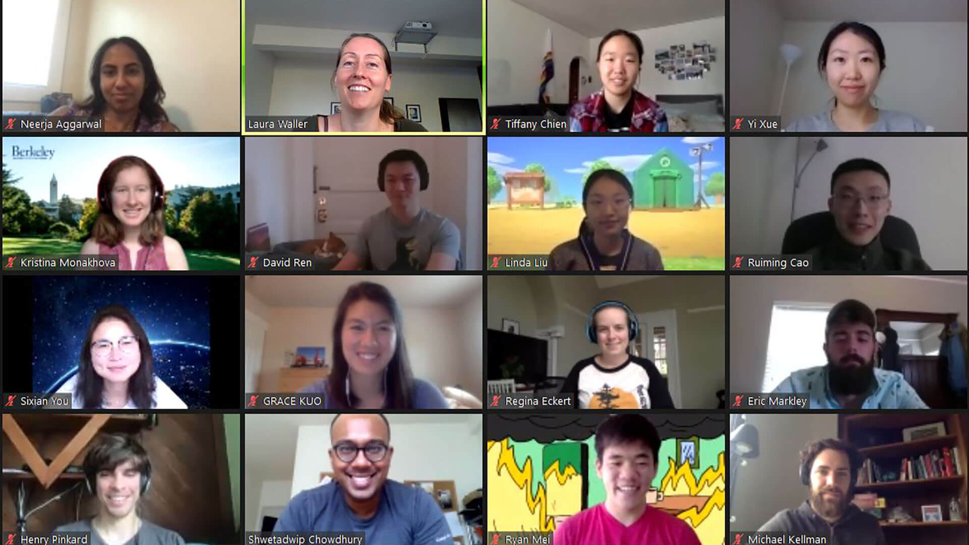 Screenshot of a Zoom meeting 