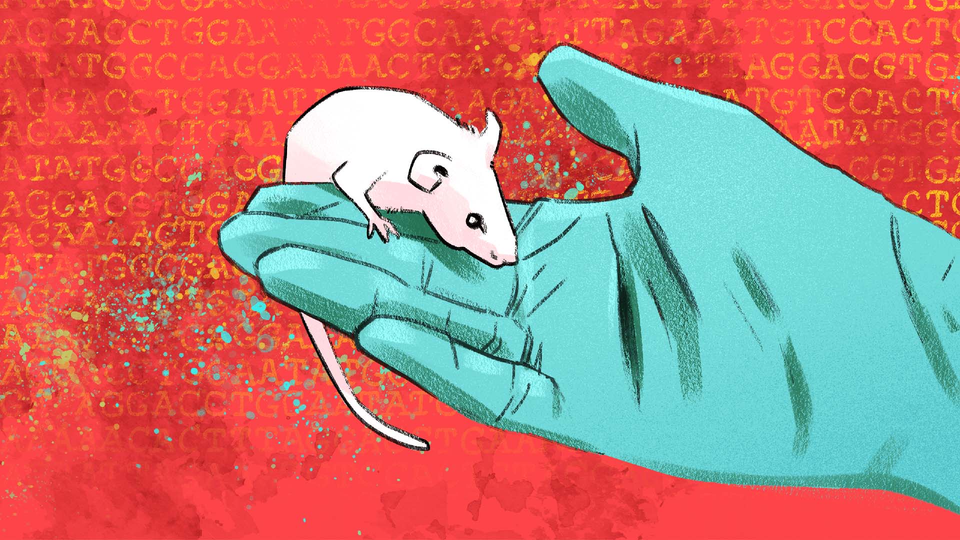 A white lab mouse sits in a blue-gloved hand, with red DNA letters in the background and colorful splatter effects.