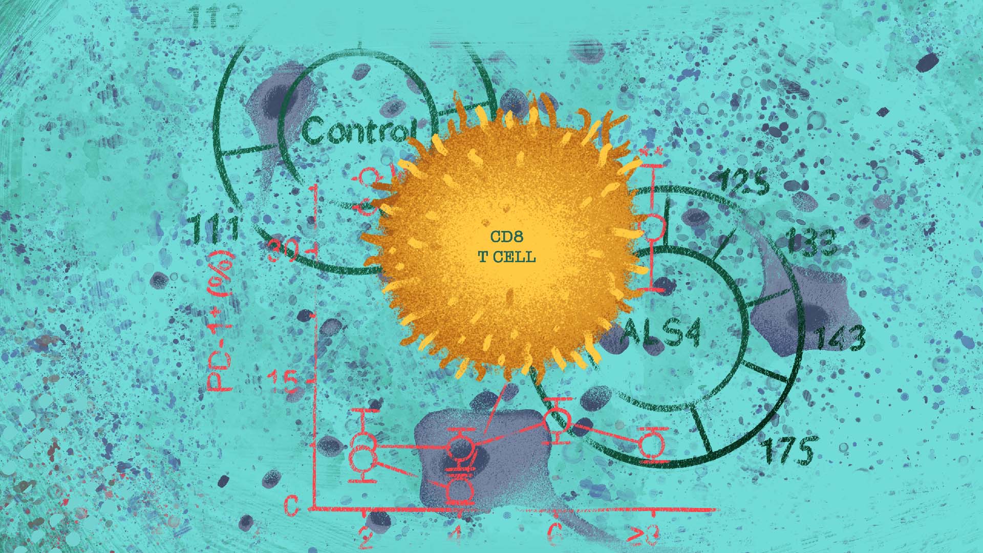 Illustration of a spiky orange CD8 T cell overlaid with scientific data charts and graphs, set against a turquoise background with splatter textures.