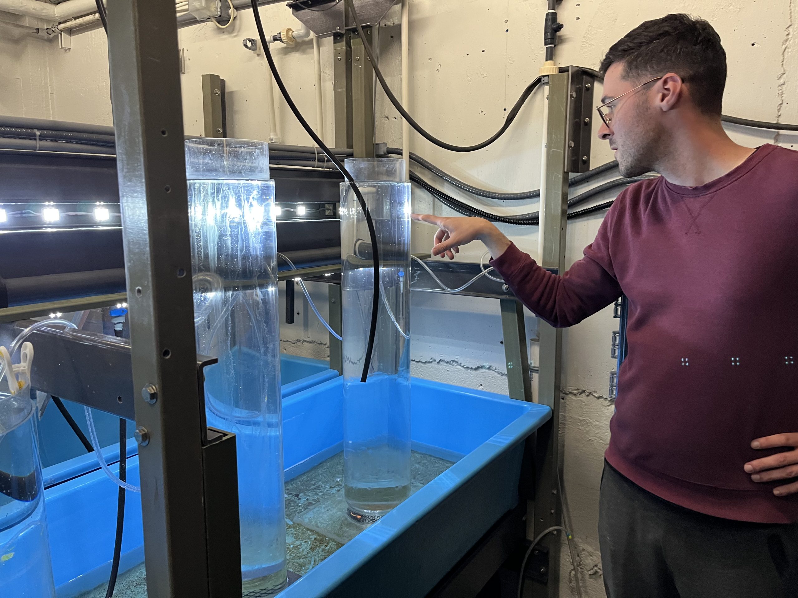 photo of tanks of water in a lab