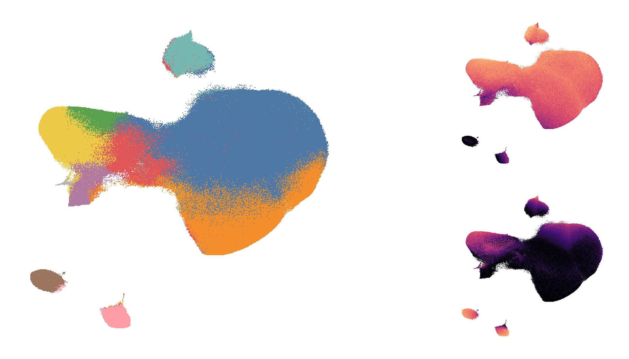 Three multicolored shapes against a white background. On the left is the largest shape comprised of blue, orange, red, green , yellow and purple. On the top right is a shape mainly of coral with some purple near the edges, and on the bottom ride is a shape with gradations of bright purple to dark purple. 
