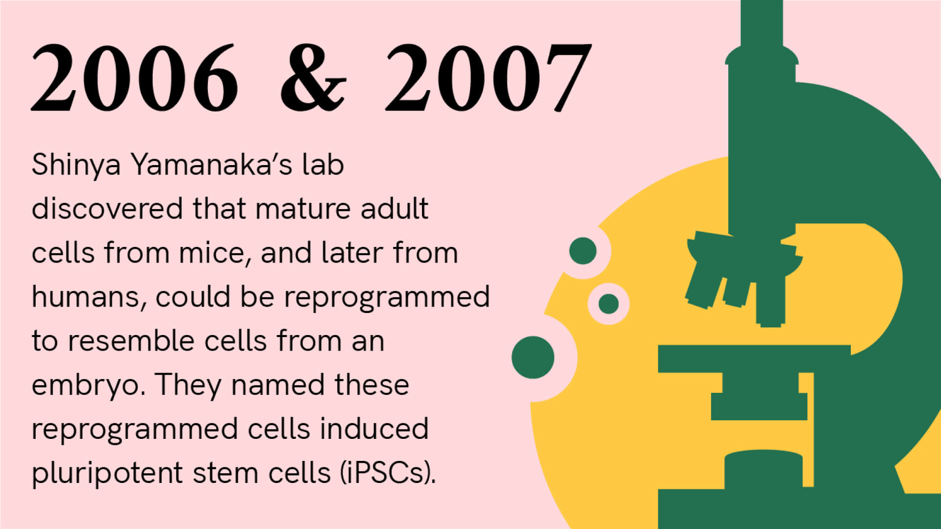 2006 & 2007: Shinya Yamanaka’s lab discovered that mature adult cells from mice, and later from humans, could be reprogrammed to resemble cells from an embryo. They named these reprogrammed cells induced pluripotent stem cells (iPSCs). There is an illustration of a microscope.