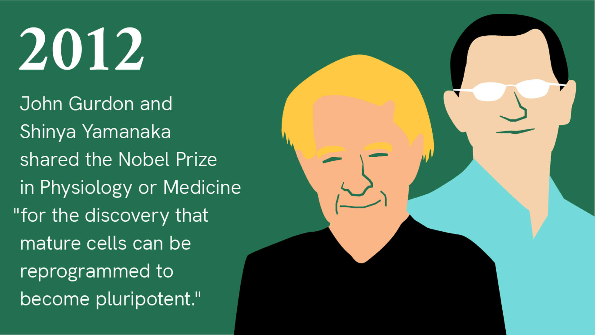 2012: John Gurdon and Shinya Yamanaka shared the Nobel Prize in Physiology or Medicine "for the discovery that mature cells can be reprogrammed to become pluripotent." Illustration of John Gurdon, a white man with blond ear-length hair, and Shinya Yamanaka, a Japanese man with short black hair and glasses.
