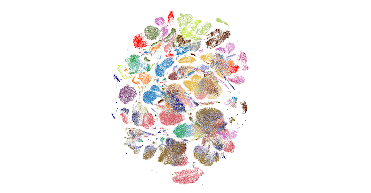 Colorful shapes on a white background.