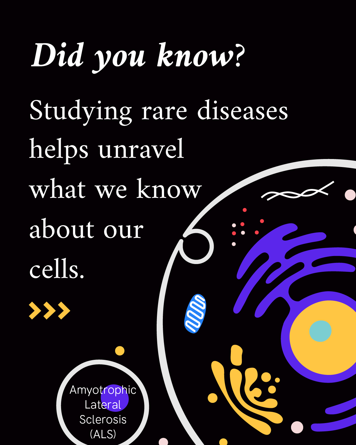 Infographic reads “Did you know? Studying rare diseases helps unravel what we know about our cells.” Purple, yellow and blue illustrations of the parts of a cell — represented by squiggles, ovals and dots — accompany the text.