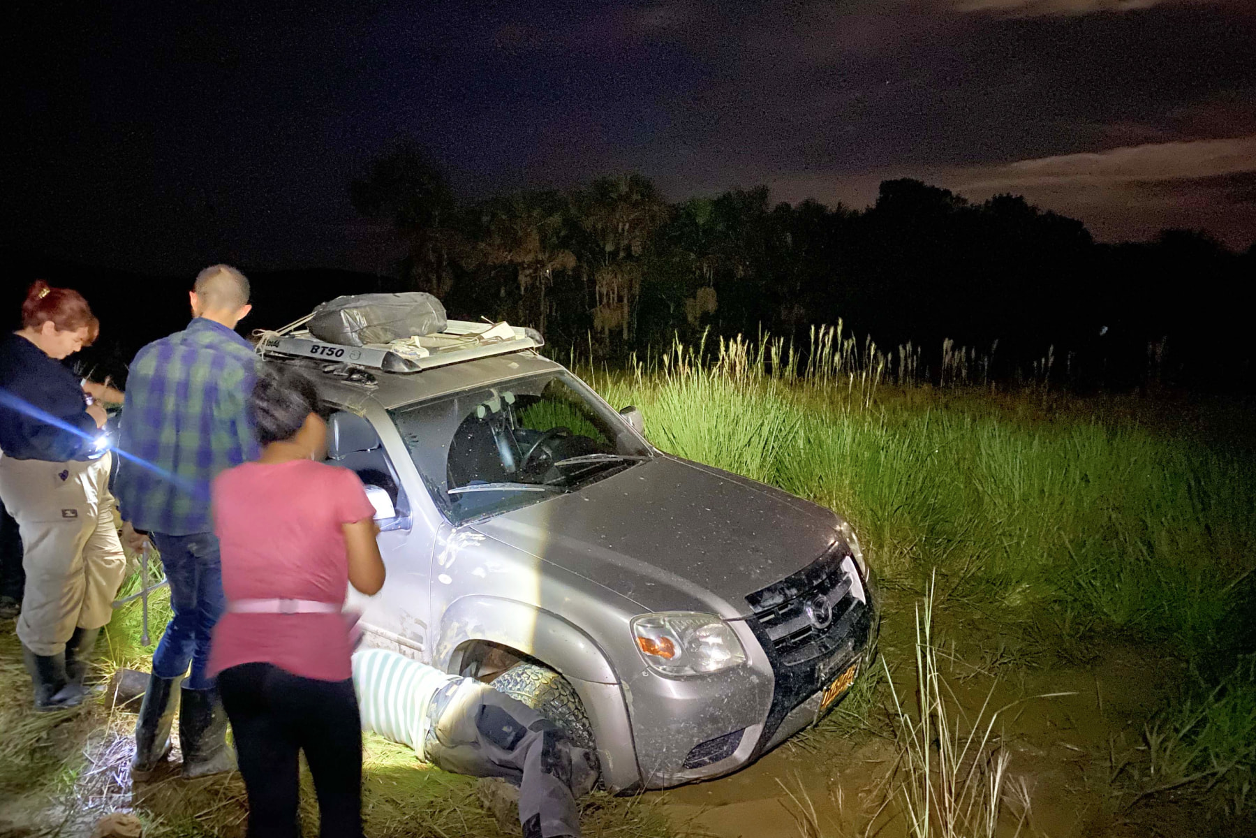A person moves a tree from a dirt road. Part of a truck is visible in the foreground.