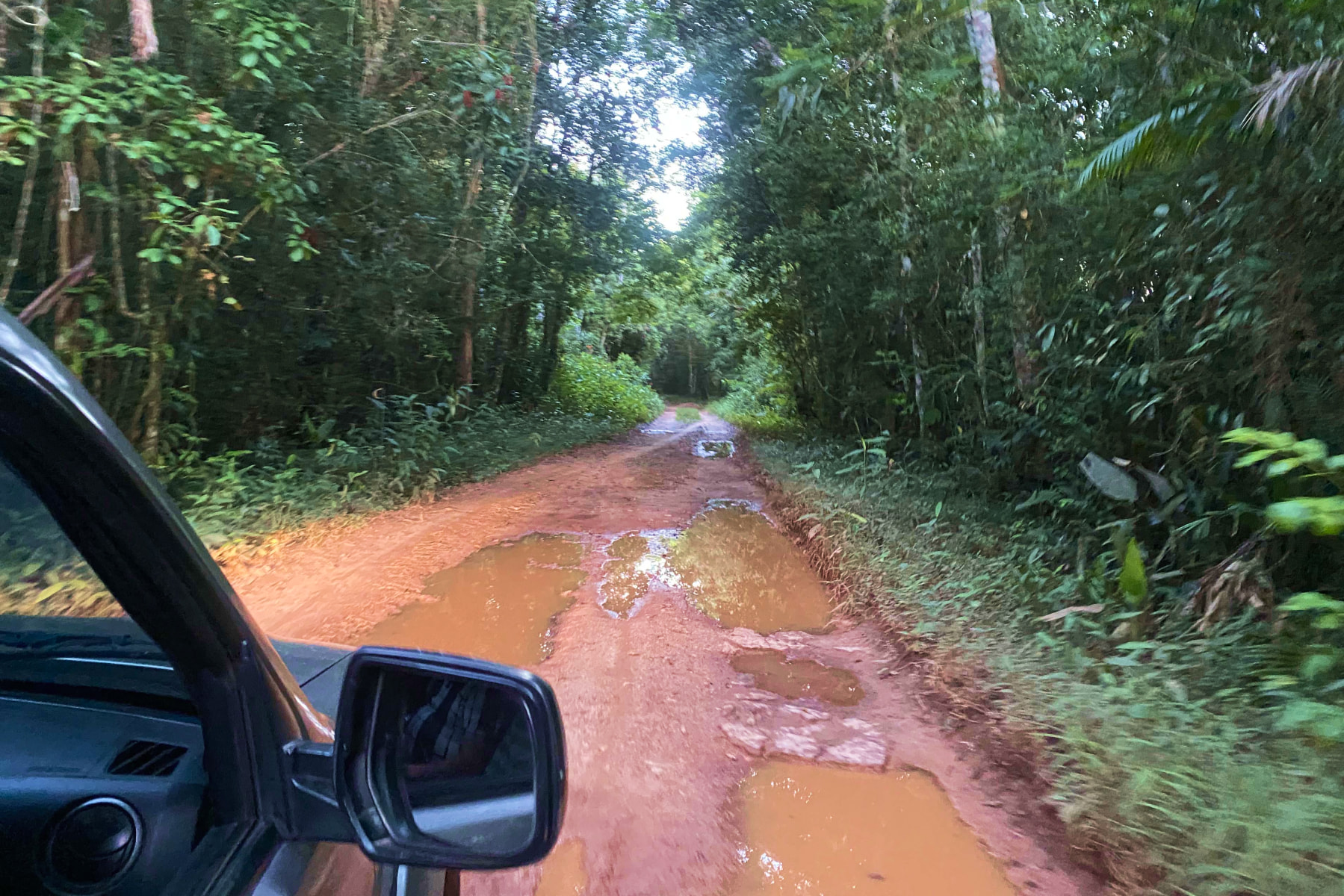 A person moves a tree from a dirt road. Part of a truck is visible in the foreground.