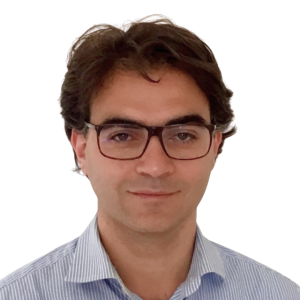 Vincenzo Vitelli, Ph.D.