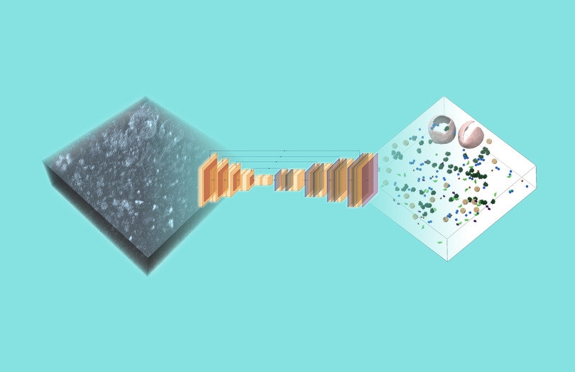 Visualization of how analysis of tomograms can provide insights into cell structure and function