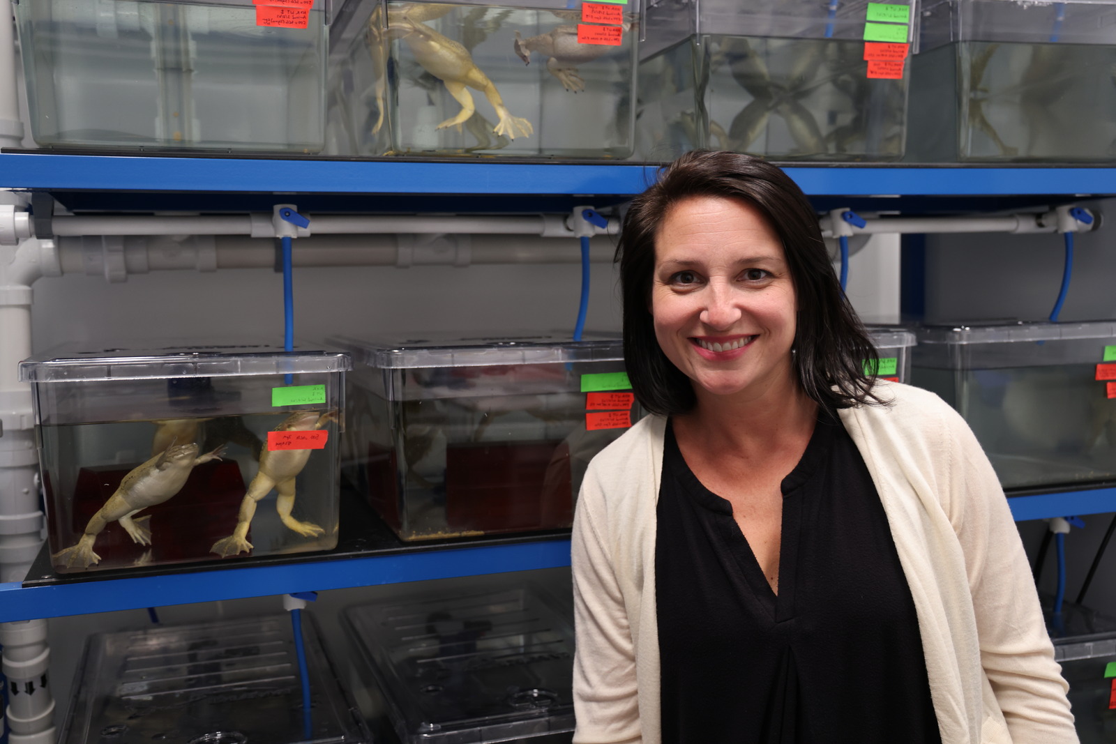 Biohub Investigator Helen Willsey usng frogs as a model organism