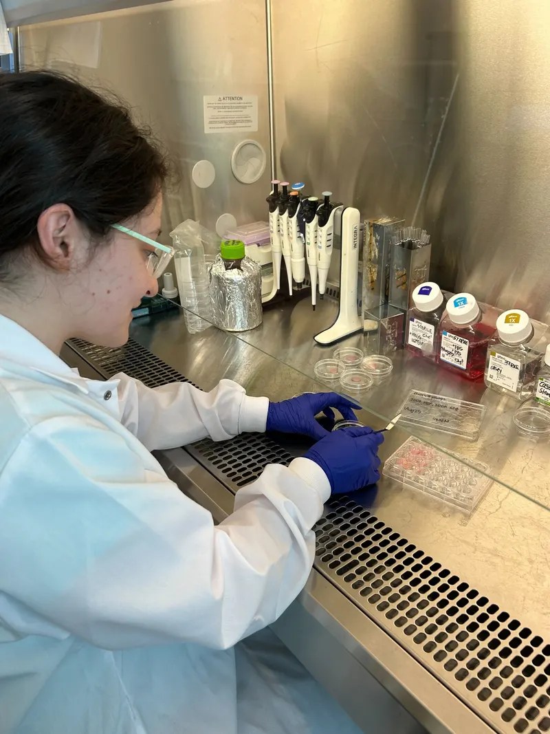 Intern Bianca Dwork tends to her cells in the Tissue Models Biohub Chicago lab.