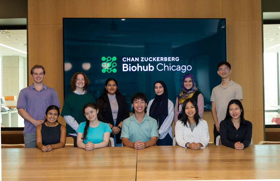 Group of 12 people pose in an office setting, smiling at the camera.