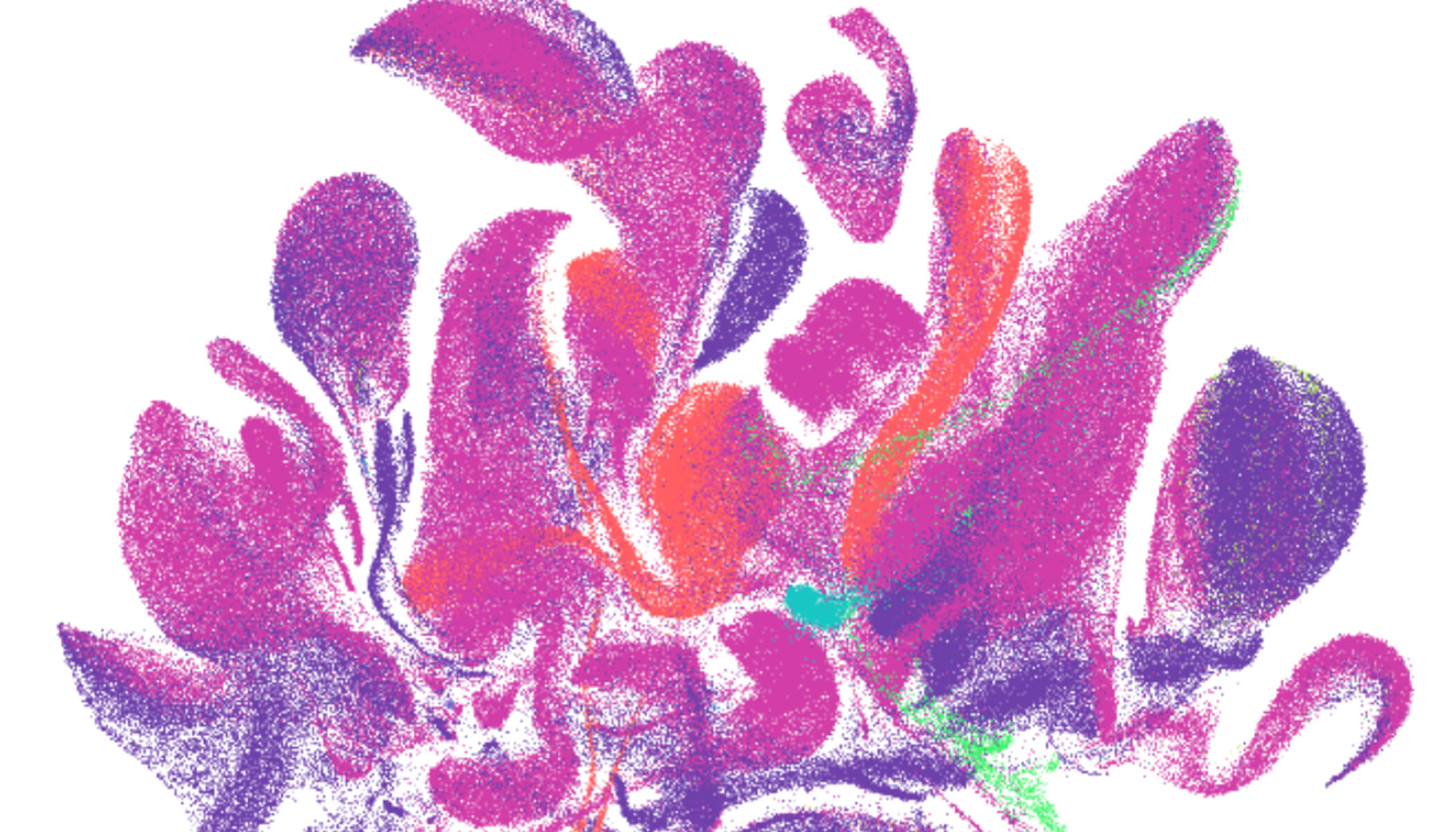Scatterplot of 800,000 human organoid cells forming color-coded tissue clusters, visualized in CZI’s CELLxGENE tool.