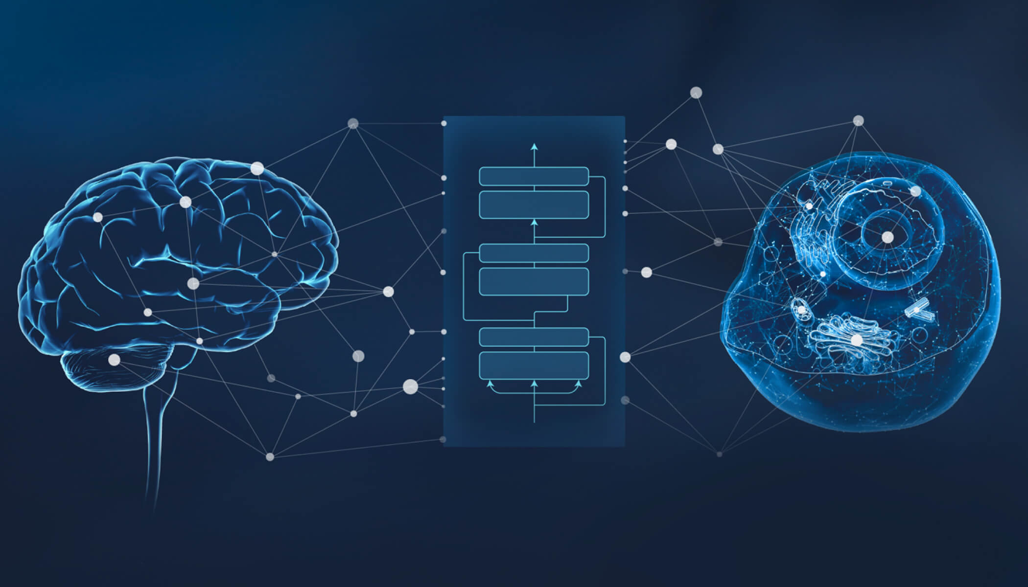 Glowing blue human brain connected through neural network and flow chat to biological cell with visible internal structures, on a dark background.