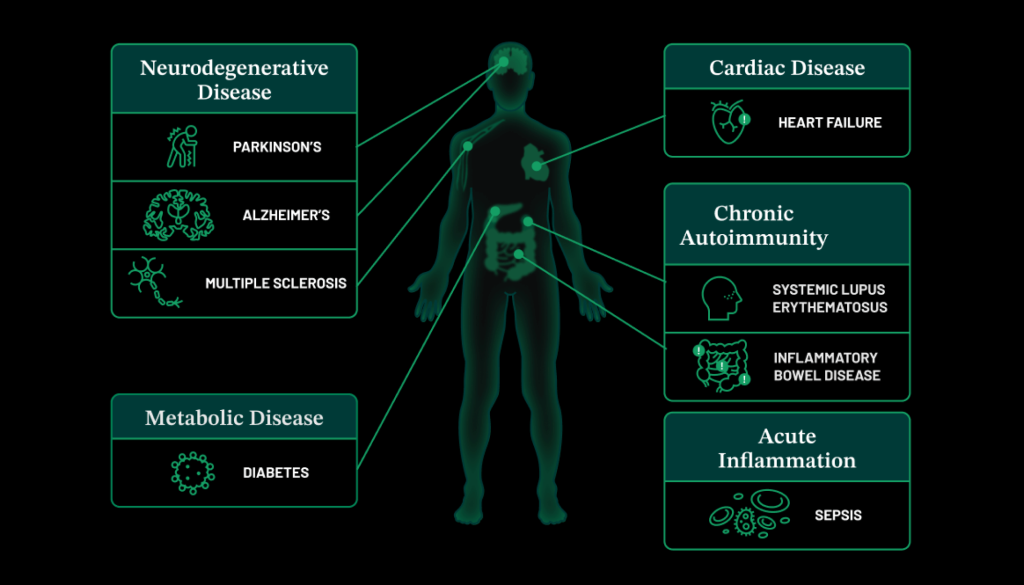 Diagram showing a human silhouette with lines connecting to different disease categories that continuous protein monitoring could help detect and manage, including neurodegenerative diseases like Parkinson's and Alzheimer's, cardiac diseases, autoimmune conditions like lupus, metabolic diseases like diabetes, and acute inflammation such as sepsis.