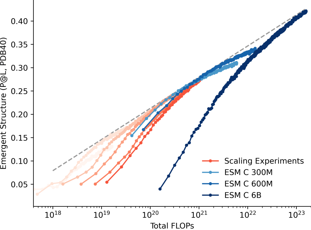 Chart showing ESM C scaling laws where structure information improves linearly with training compute.