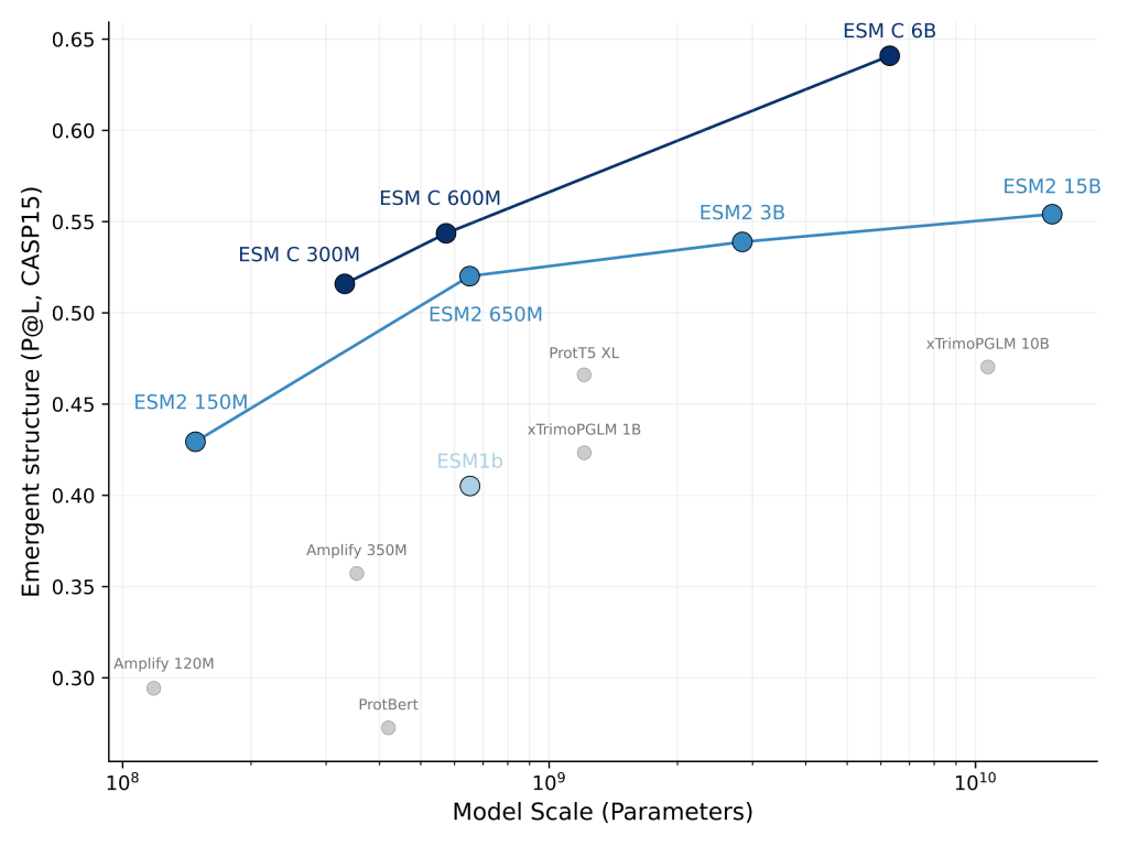 Chart showing ESM C models achieving higher contact precision (P@L) than earlier ESM models.