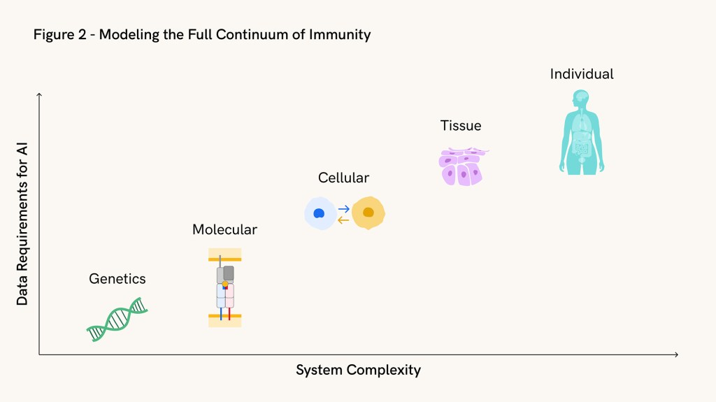 Diagram illustrating five axes of immune system complexity: genetics, molecular, cellular, tissue, and individual, showing how increasing biological complexity requires more sophisticated AI models.