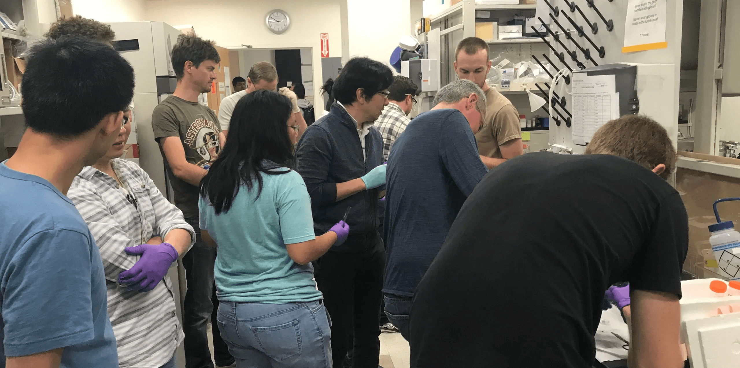 Researchers collaborating during coordinated Tabula Muris mouse tissue collection at  Biohub