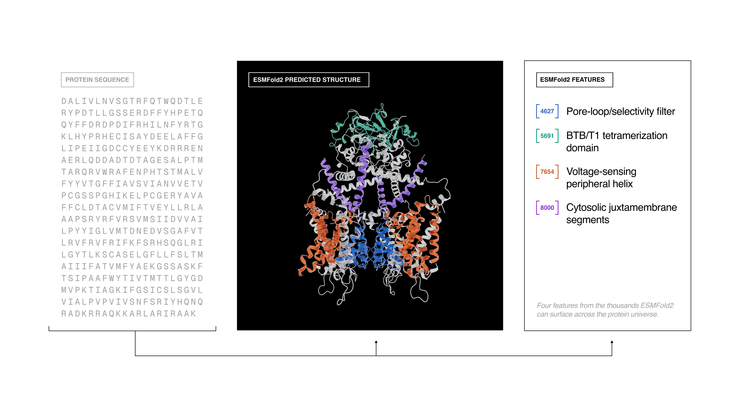 Biohub releases a world model of protein biology