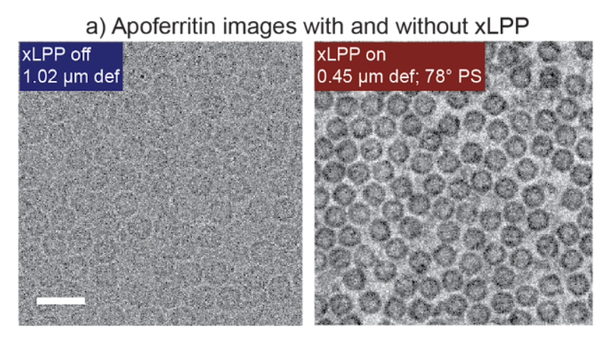 Cryo-EM comparison of apoferritin without and with Biohub's crossed laser phase plate, showing sharply improved protein contrast