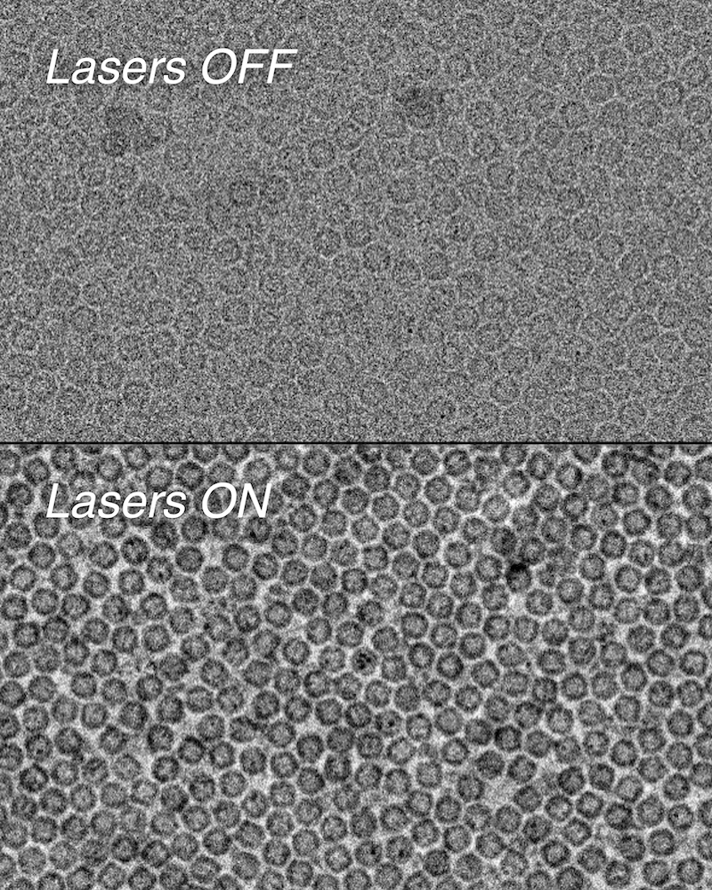 Cryo-EM comparison of apoferritin with lasers off showing low contrast versus lasers on revealing clearly defined protein rings